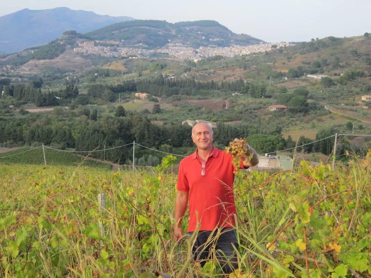Villetta San Giovanni Holiday home Calatafimi
